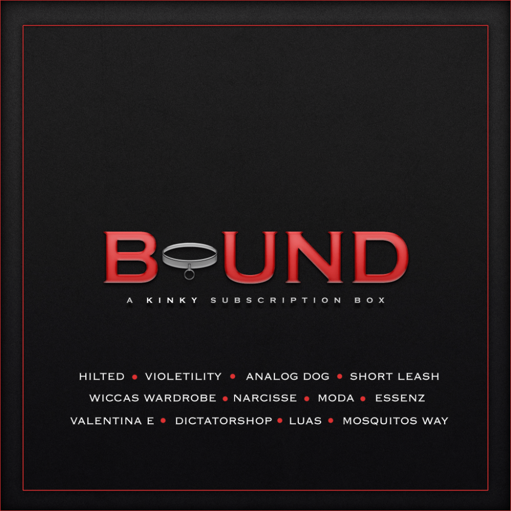 BOUND NOV 2018 PARTICIPANTS.png